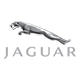 Jaguar_9